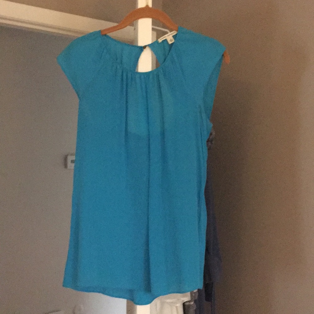 Sheer, cap sleeved top.